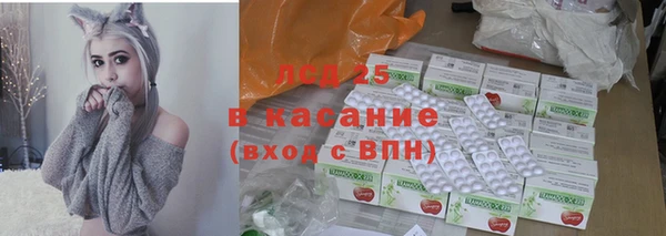 стафф Аркадак