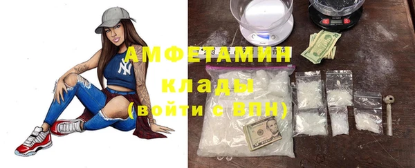 индика Пересвет
