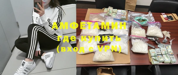 мдпв Пестово