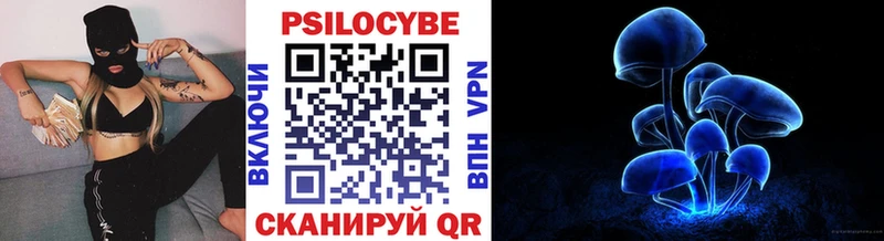 как найти   Славск  Галлюциногенные грибы GOLDEN TEACHER 