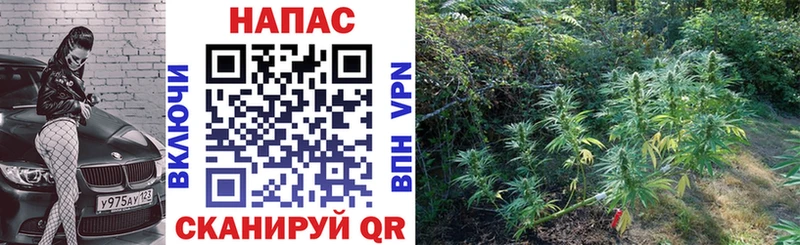 KRAKEN зеркало  даркнет как зайти  Конопля THC 21%  дарнет шоп  Славск 
